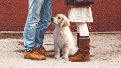 éducateur canin, chien et cliente