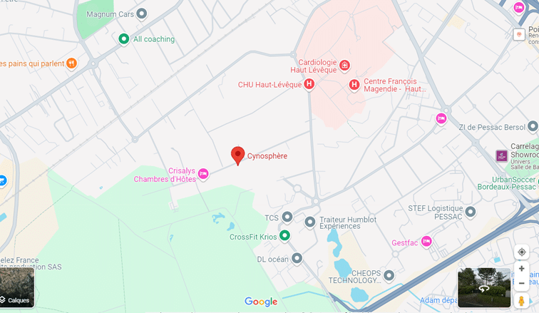 Adresse Cynosphère sur carte