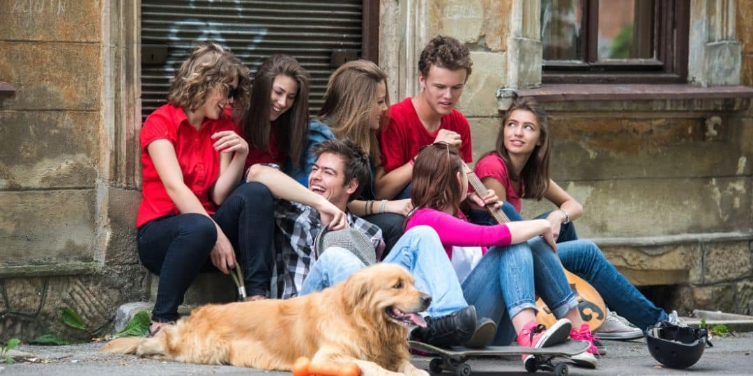 L’adolescence du chien : une transition nécessaire